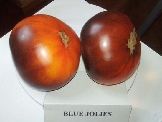 Синий Джоли